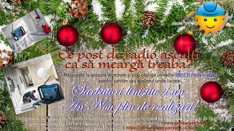Concurs iarnă 2019